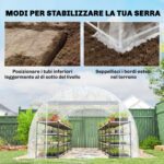 Serra a Tunnel 3x6x2 m con Porte Avvolgibili, Telaio in Acciaio e Copertura in PE Anti-UV, Trasparente - immagine 7