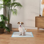 Set 1 Tappetini Igienici per Cani a 6 Strati in Tessuto non Tessuto, Carta e PE, 45x60 cm, Blu e Bianco - immagine 2