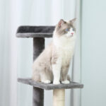 Tiragraffi per Gatti da 1cm con Lettino Rotondo, Pali in Sisal e Rivestimento in Peluche, Grigio - immagine 7