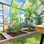 Serra da Giardino in Policarbonato, Metallo e Alluminio, Anti-UV e Antivento, 244x5x216cm, Verde - immagine 9