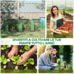 Serra da Giardino a Tunnel in Acciaio e Plastica PP con Porte Avvolgibili, 295x1x80 cm, Verde - immagine 8