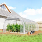 Serra a Tunnel 3x6x2 m con Porte Avvolgibili, Telaio in Acciaio e Copertura in PE Anti-UV, Trasparente - immagine 2