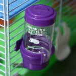 Gabbia per Criceti a 5 Livelli con Tubi, Ruota, Scale, Casetta e Bottiglia, Gabbietta per Roditori in Metallo, PP e PS, 46x30x58 cm, Verde - immagine 8