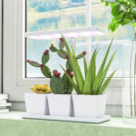 Lampade per Pianta da 30 Luci LED con 3 Vasi, Timer e Illuminazione Regolabile, 31,8x13,4x18,6-35,6 cm, Bianco - immagine 2