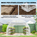 Serra a Tunnel 3x4x2 m con Porte Avvolgibili, Telaio in Acciaio e Copertura in PE Anti-UV, Trasparente - immagine 7