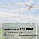 Serra a Tunnel 3x6x2 m con Porte Avvolgibili, Telaio in Acciaio e Copertura in PE Anti-UV, Trasparente - immagine 5