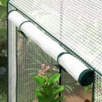 Serra da Giardino con Copertura in PE, 2 Zone Separate e Porte Avvolgibili, 1x80x150cm - immagine 9