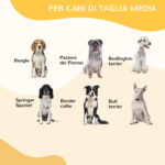 Recinto per Cani di Piccola Taglia a 8 Pannelli Modulabili da 80x1,5x1 cm, Box per Cani e Cuccioli Pieghevole con Porta in Acciaio con 8 Picchetti, Grigio - immagine 6
