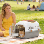 Trasportino per Gatti e Cani Piccoli Fino 4 kg in Plastica con Finestra Superiore, 49x32x31 cm, Grigio - immagine 2