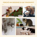 Tiragraffi per Gatti da 1cm con Lettino Rotondo, Pali in Sisal e Rivestimento in Peluche, Grigio - immagine 5