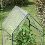 Mini Serra da Giardino con 2 Porte Avvolgibili e Copertura in PE 90x90x145cm, Trasparente - immagine 8