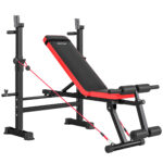 Panca Fitness con Rack per Pesi, Schienale e Sedile Regolabili, Dip Station, Capacità 420 kg
