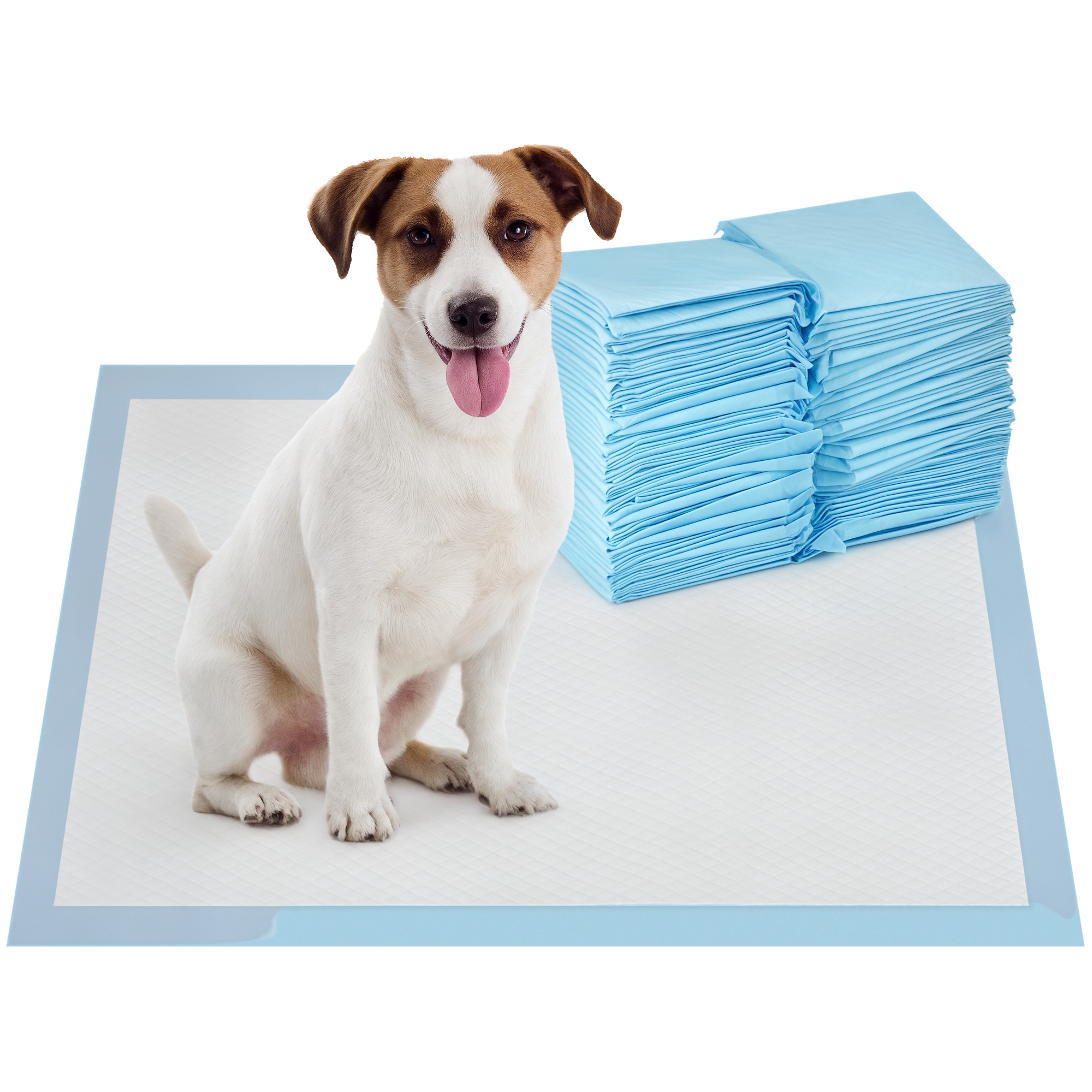 iP47a51980ada0bb5.jpg Set 1 Tappetini Igienici per Cani a 6 Strati in Tessuto non Tessuto, Carta e PE, 45x60 cm, Blu e Bianco - immagine 1
