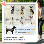 Passeggino per Cani Convertibile con 2 Guinzagli e Cuscino, in Acciaio e Poliestere, 82x49,5x98 cm, Azzurro e Nero - immagine 4