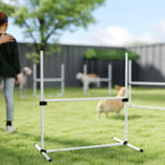 Set di 4 Ostacoli Agility Dog per Addestramento Cani ad Altezza Regolabile con Borsa da Trasporto Inclusa, 99x65x94cm, Bianco - immagine 9