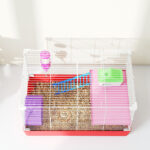 Gabbia per Criceti a 2 Livelli in Metallo e PP con Casetta, Serbatoio dell'acqua e Ruota, 47x30x27 cm - immagine 8