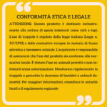 Gabbia Trappola per Ratti, Topi e Nutrie con Porta Singola, 60x18x20cm, Verde - immagine 7