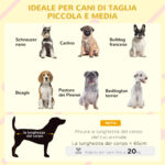 Casetta per Cani con Terrazza Scaletta e Finestra 121x77x78cm Grigio chiaro - immagine 4