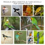 Voliera per Uccelli da Esterno in Legno di Abete, 80,5x57x158,5cm, Grigio Chiaro - immagine 8