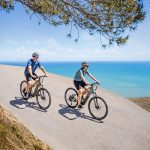 Biciclette elettriche Bicicletta elettrica Supreme - immagine 5
