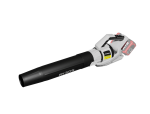 Soffiatore RY30G
