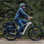 Fiido Nomads Bici Elettrica Trekking 250W Potente Autonomia 238 km per Viaggi e Città - immagine 10