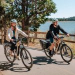 Fiido Nomads Bici Elettrica Trekking 250W Potente Autonomia 238 km per Viaggi e Città - immagine 12