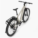 Fiido Nomads bici elettrica trekking 250W lunga autonomia