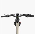 Fiido Nomads Bici Elettrica Trekking 250W Potente Autonomia 238 km per Viaggi e Città - immagine 3