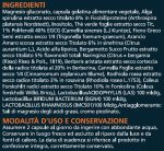 Levoadip Integratore Adattogeno | Energia, Metabolismo e Controllo Peso | 90 Capsule Naturali - immagine 3