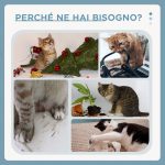 Albero Tiragraffi per Gatti a Soffitto con Piattaforme e Casetta, 60x40x225-255cm, Grigio - immagine 8