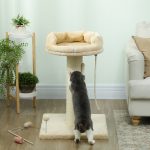 Albero Tiragraffi per Gatti con Lettino e Pallina in Peluche e Palo in Sisal 55x55x83cm Beige - immagine 7