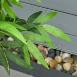 Pianta Finta Bambù in Vaso Realistico con 780 Foglie per Interno ed Esterno 140cm - immagine 9