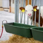 Abbeveratoi per bestiame con galleggiante e attacco per tubo flessibile, 42 litri - immagine 13