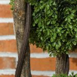 Pianta di Bosso Artificiale a 3 Sfere con Vaso Incluso e Fondo Rinforzato, Altezza 115 cm - immagine 9