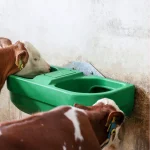 Abbeveratoio doppio in plastica, a livello costante, 58 litri - immagine 12