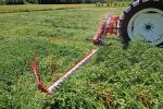 Falciatrice Dente Lama BF - immagine 4