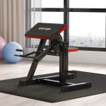 Panca Romana 2 in 1 per Curl e Tricipiti con Sedile a 5 Livelli e 25 Regolazioni, Nero - immagine 2