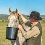 Secchio d'alimentazione per cavalli, 12 l - immagine 6