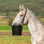 Secchio d'alimentazione per cavalli, 12 l - immagine 8