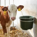 Secchio di stalla e alimentazione, verde, 12 litri - immagine 6