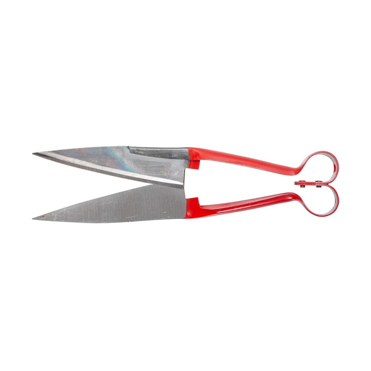 34 Cesoie per pecore, 31 cm - immagine 1