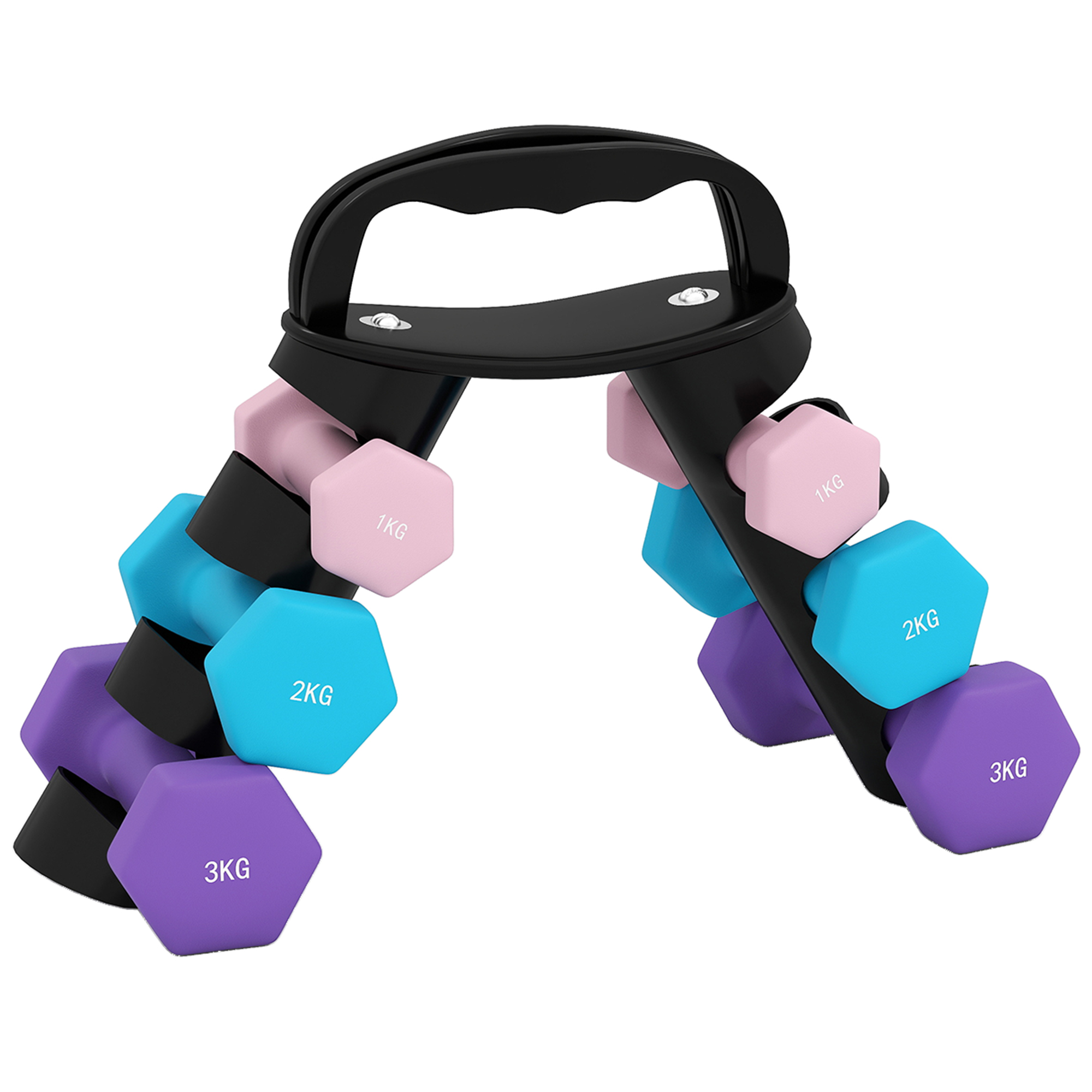 67R2fd19c8a87d79a.jpg Set 6 Manubri Pesi (2x1 kg, 2x2 kg, 2x3 kg) da 12 kg con Supporto/Kettlebell, in Metallo e PP Rosa, Azzurro e Viola - immagine 1